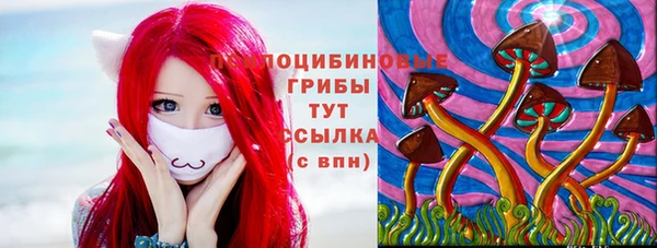 таблы Алексин