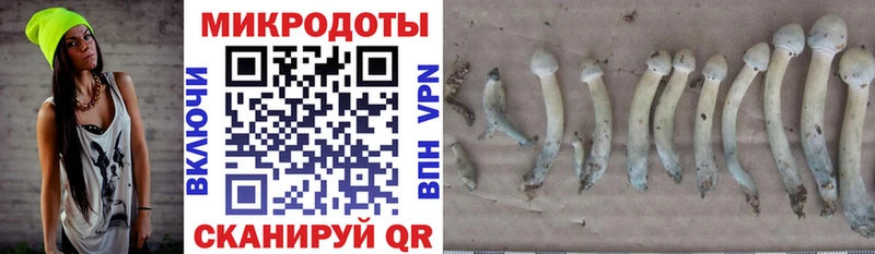 Псилоцибиновые грибы Magic Shrooms  наркотики  Коркино 